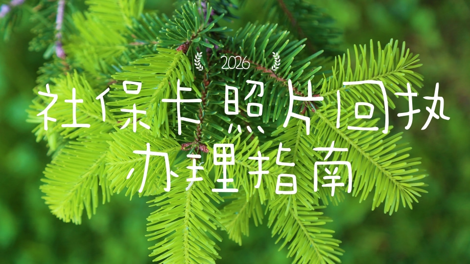 2026社保卡照片回执怎么免费办理?告别照相馆排队,手机轻松搞定