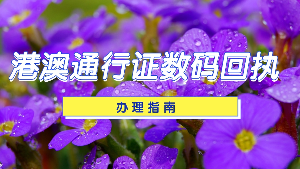 2026港澳通行证照片回执线上办理|全流程实用百科指南