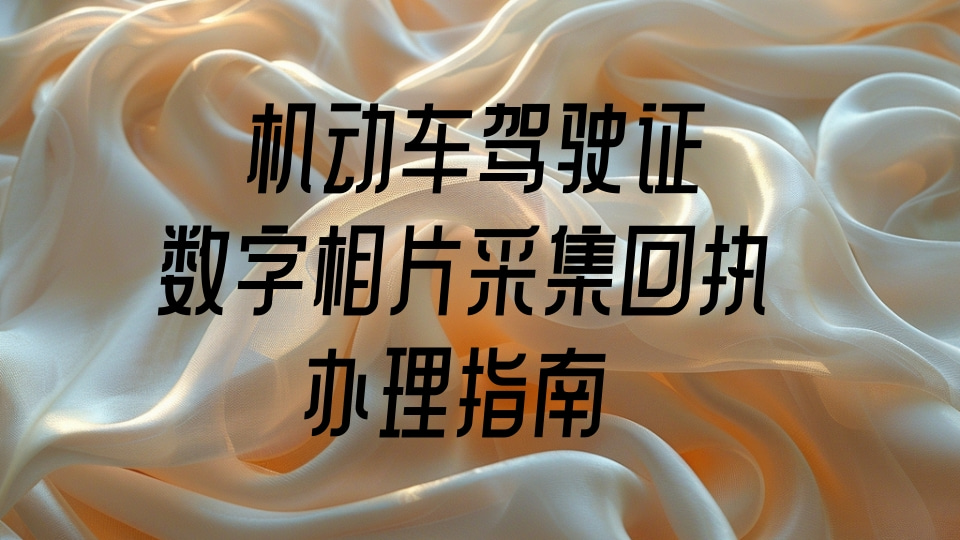 2026驾驶证照片回执单怎么办理？三种正规渠道一站式办理指南