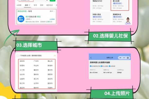 2026社保卡相片回执号网上办理？手机一键获取编号，办卡不用再跑线下