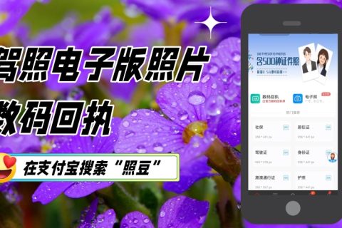 2026网约车资格证照片回执线上办理｜司机居家自助办理指南
