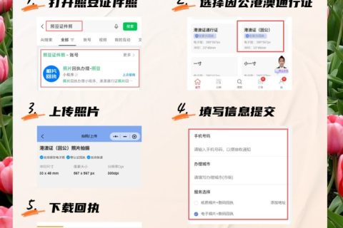 2026在线办理《因公来往港澳通行证相片回执》| 线上合规办理教程