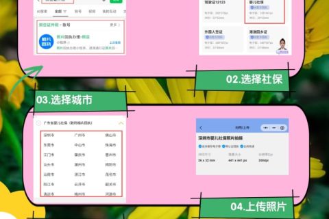 2026社保卡照片回执号怎么弄？一文教你快速获取