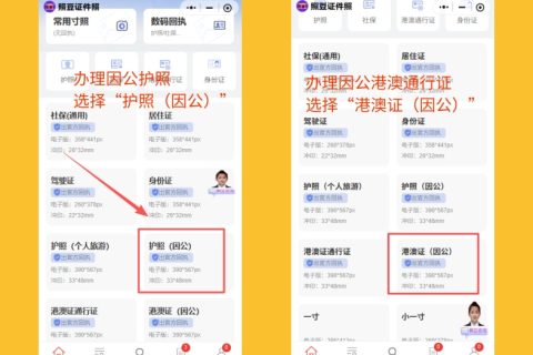 2026因公电子护照相片回执｜标准要求与线上办理须知