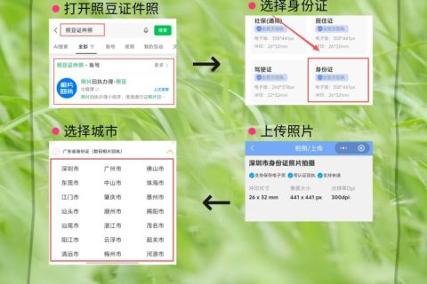 2026办理居民身份证提交的数码相片采集回执指引