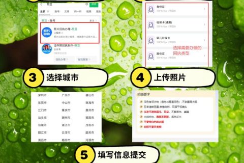 2026《广东省机动车驾驶证数字相片采集回执》办理流程