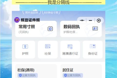 在线办理《因公电子护照相片回执》，行政催了三天，照豆十分钟交差