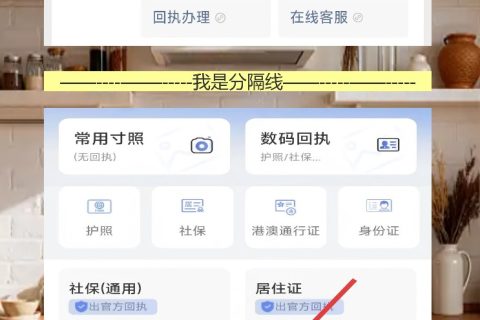 因私普通护照数字相片回执，窗口要的是编号不是图片，白跑一趟