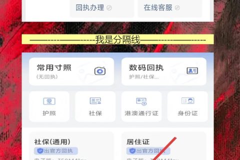 护照数码回执在哪里办理？护照丢失补办要回执，手机一拍不用跑