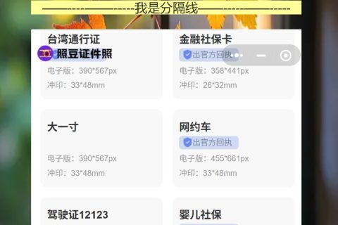带孩子办台湾通行证要照片回执？手机拍完就能用，不用跑照相馆