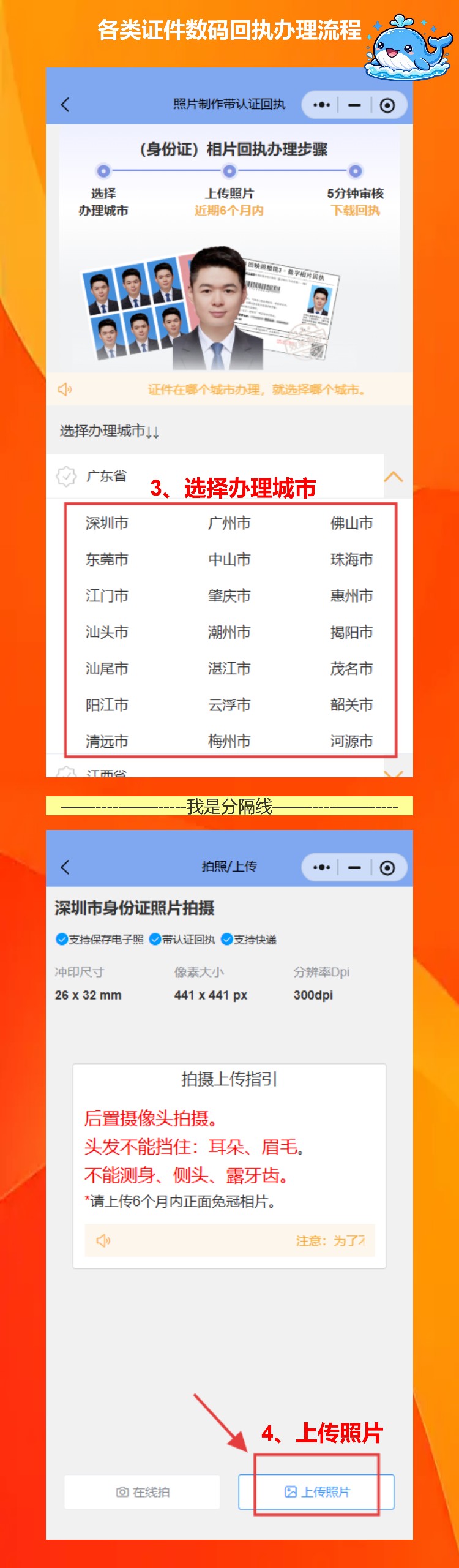 照片回执编号是什么意思,在哪里看?