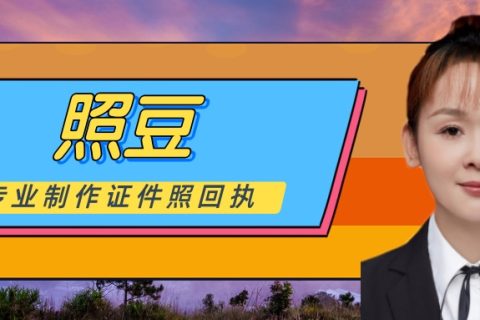 2026东莞社保数码回执办理｜社保卡制卡相片采集办事指南