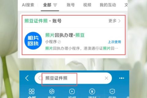 2026证件照图像号回执｜作用与获取方式科普