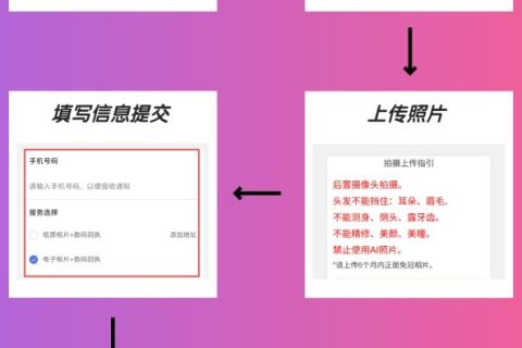 2026如果没有证件照，怎么在线办理中山市社保数码回执