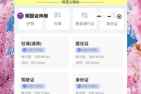 因公港澳通行证丢了，手机拍回执补办超快