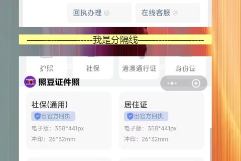 汕尾在线办理《港澳通行证照片回执》手机拍照指南