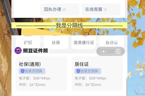 东莞在线办理《港澳通行证照片回执》手机搞定攻略
