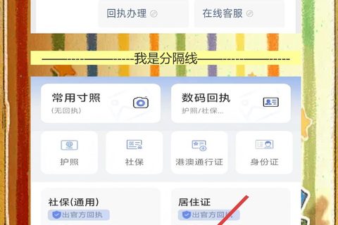 湛江个人护照照片回执办理，手机拍照直接出回执，休渔期不用跑照相馆