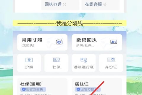 约了号忘带护照回执？手机补拍10分钟搞定