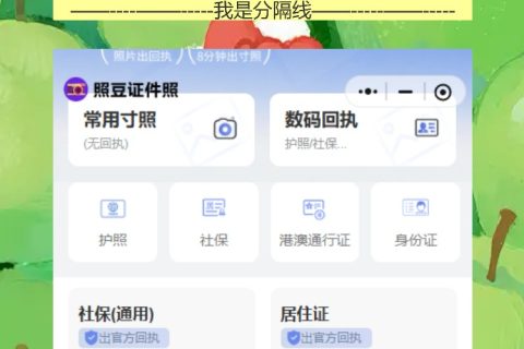 因公护照补办手机拍回执，自动检测才出证