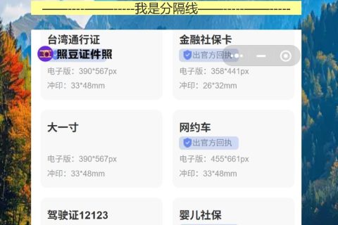 台湾通行证补办回执不用愁，手机检测通过就能用
