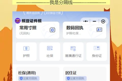 单位组织出国考察，因公护照相片回执手机就能弄