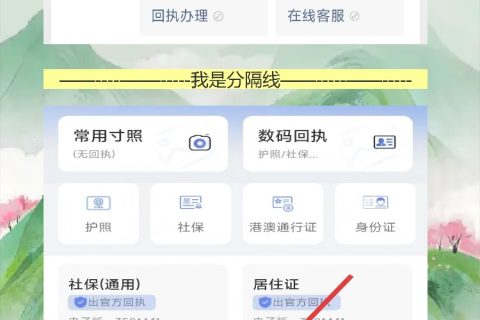 护照该换了又懒得跑照相馆,手机就能弄护照回执