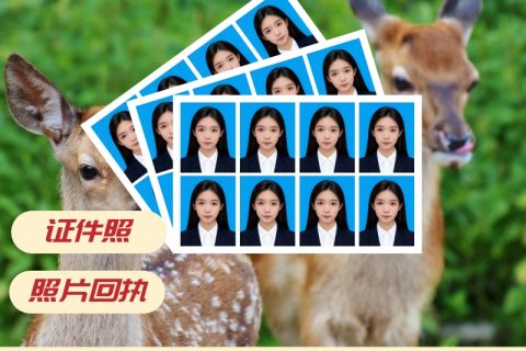 2026证件照相片采集回执办理：自助合规办理指南
