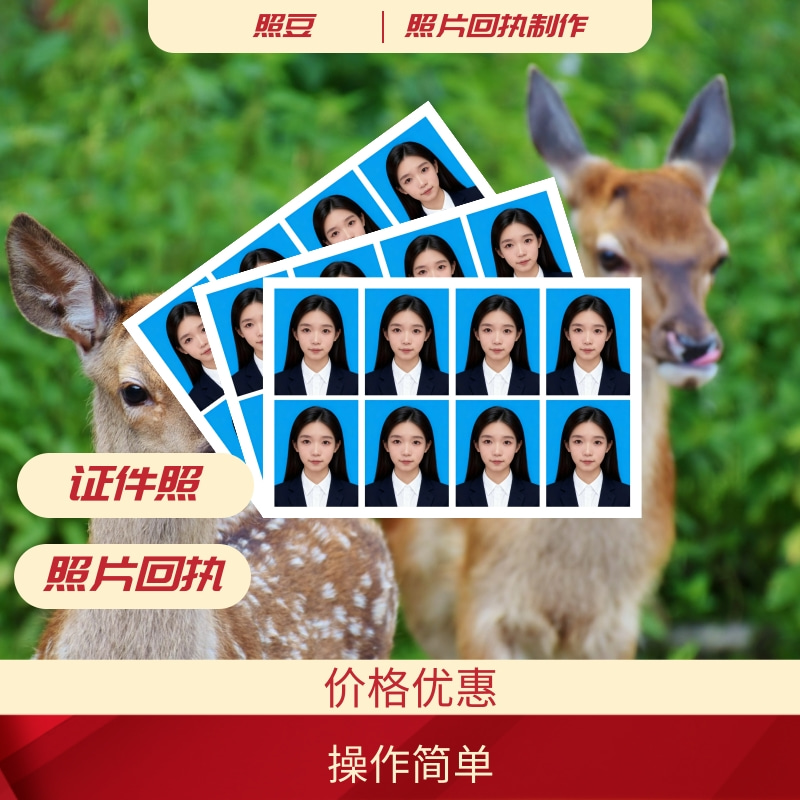 2026证件照相片采集回执办理：自助合规办理指南