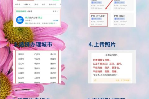 2026护照照片/数码回执：出入境办证合规指南