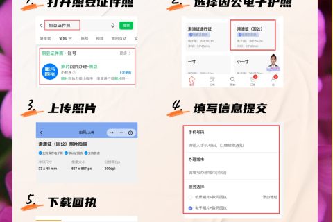 2026标题：因公电子护照相片回执｜办理要求与科普说明