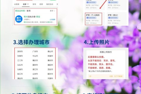 2026肇庆社保卡办理流程/换证流程｜办事科普