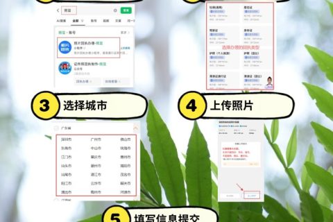 2026东莞出入境护照办理流程及相关科普说明