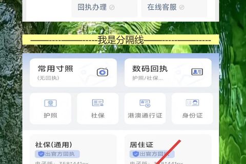 自己有照片怎么弄护照照片回执？照豆帮你手机搞定