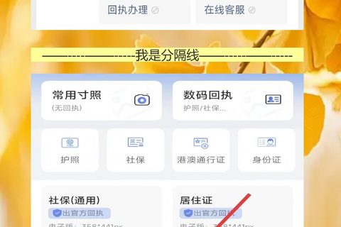 护照证照片回执线上办理，手机拍完直接去大厅