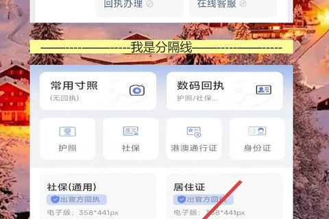 在线办理护照证照片回执，手机10分钟出