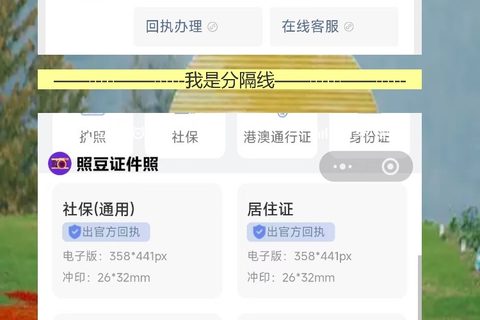 港澳通行证照片回执网上办理，白墙一拍就搞定
