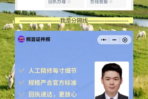 社保卡照片/数码回执怎么弄？人事催着交材料，手机白底照10分钟出