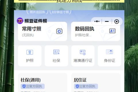 因公电子护照相片回执，检测通过再下载