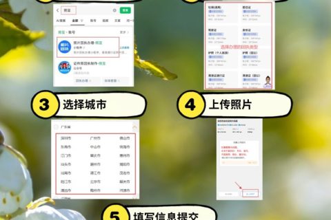 2026揭阳港澳通行证办理流程｜办事科普